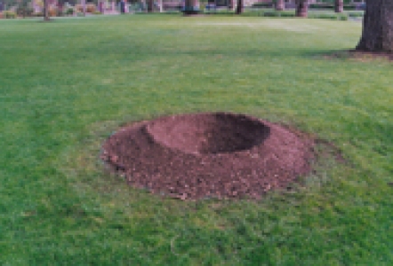 Grass hole